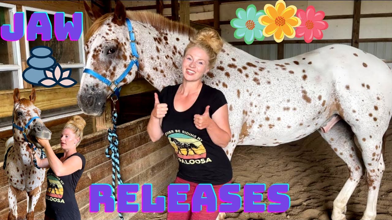 RELEASE TENSION IN YOUR HORSE’S JAW