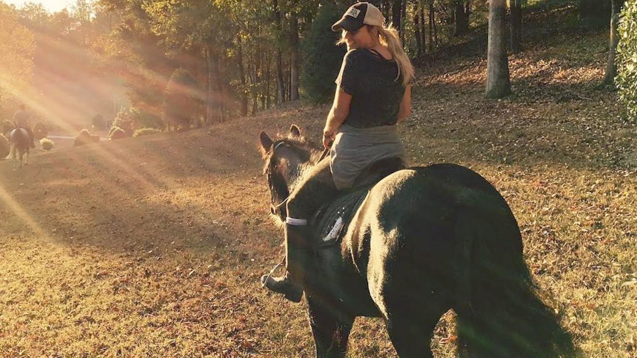 Miranda Lambert Shoots Back At Internet Trolls  | Splash News TV