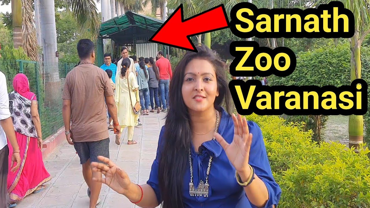 Sarnath Zoo || सारनाथ चिड़ियाघर || sarnath varanasi || By Saigal Vlogs