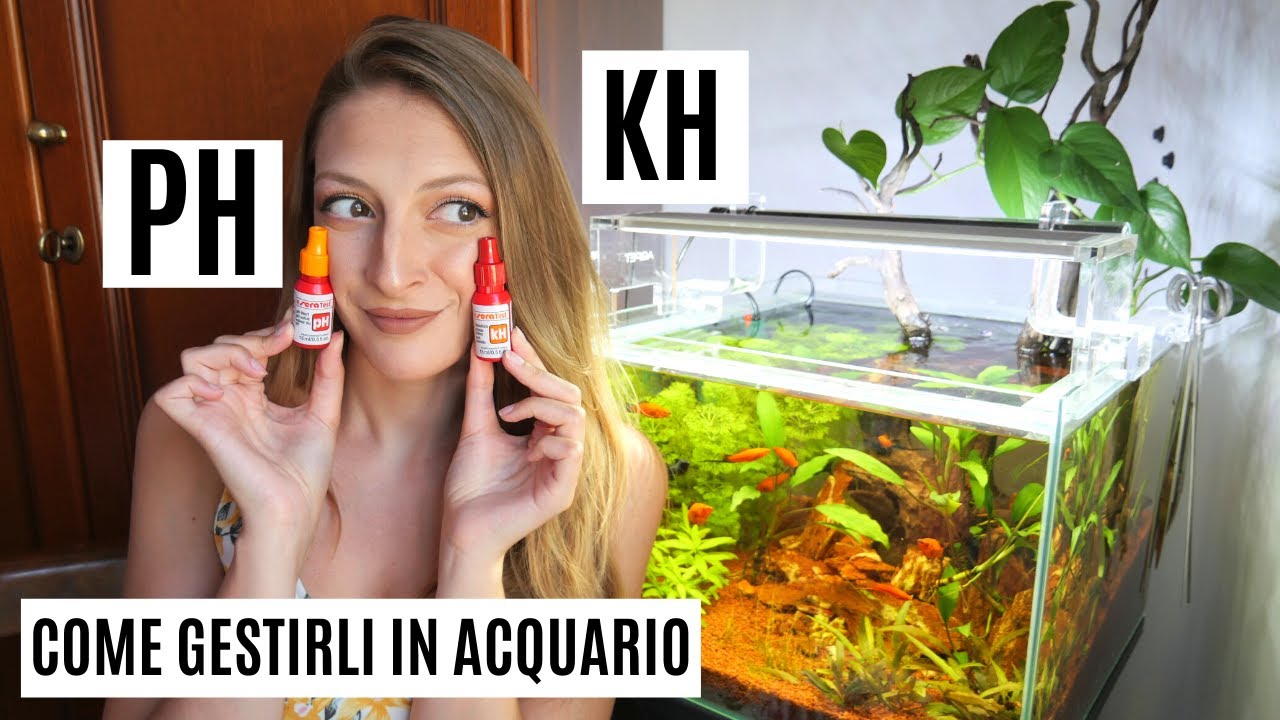 TUTTO SUL PH E KH in acquario! 💦 Guida e consigli