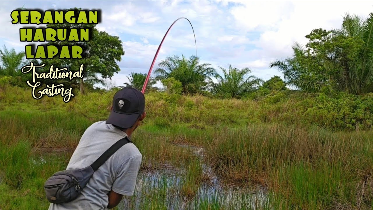 MAMAIR DI SELA RERUMPUTAN PURUN TENGAH SUNGAI || ASAL LEMPAR DI SAMBAR