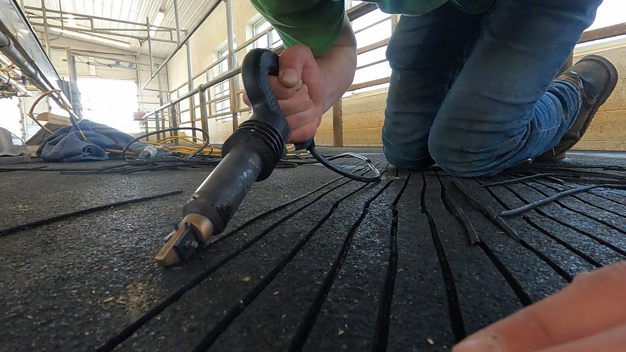 Replanting Soybeans & Parlor Floor Traction