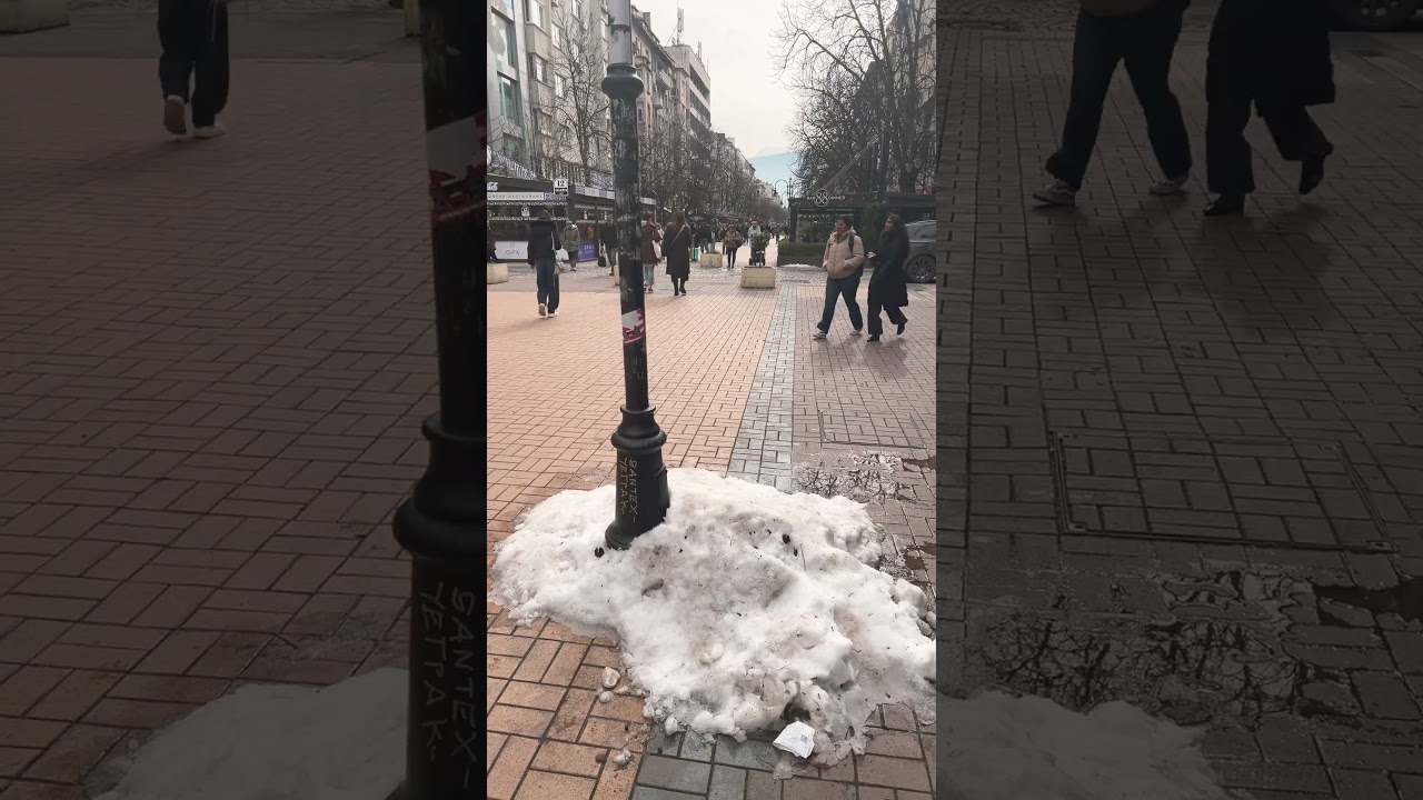 22.02.2026 Cофия: весеннее настроение