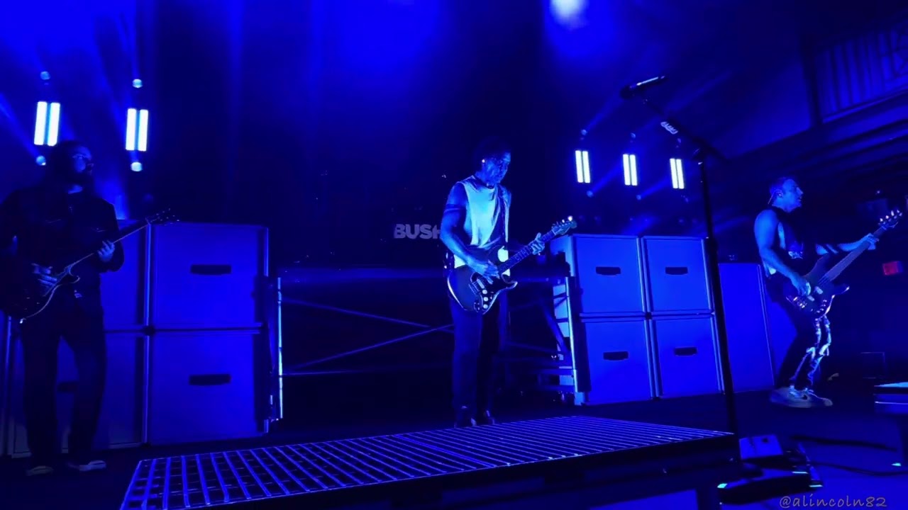 BUSH - Greedy Fly - LIVE - Washington DC