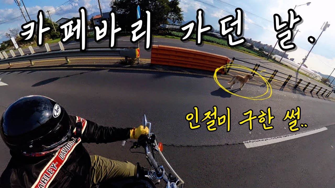 할리데이비슨 883 슈퍼로우 라이딩 vlog (항상 조심하자.)