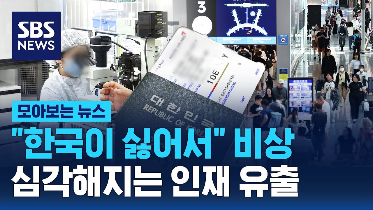 한국 떠나는 인재들.. 줄줄이 빠져나간다 '비상' / SBS / 모아보는 뉴스