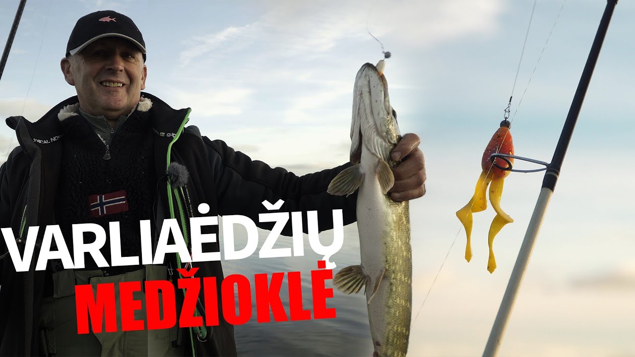 Lydekų spiningavimas žolynuose su varle