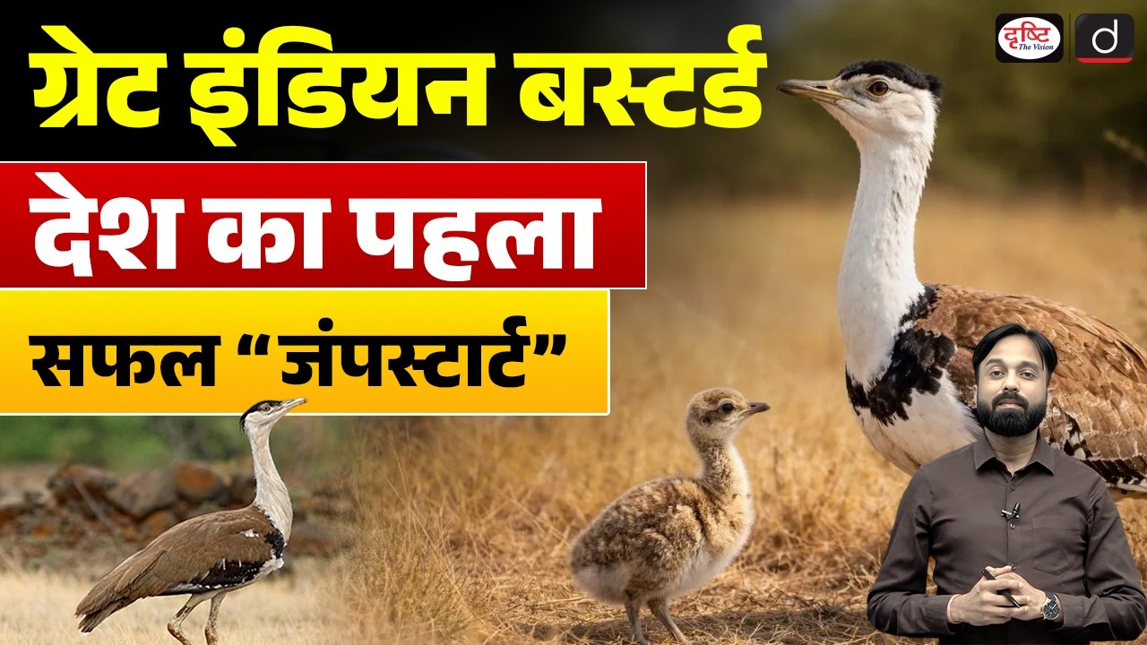 Great Indian Bustard | Current Affairs | UPSC | Drishti IAS