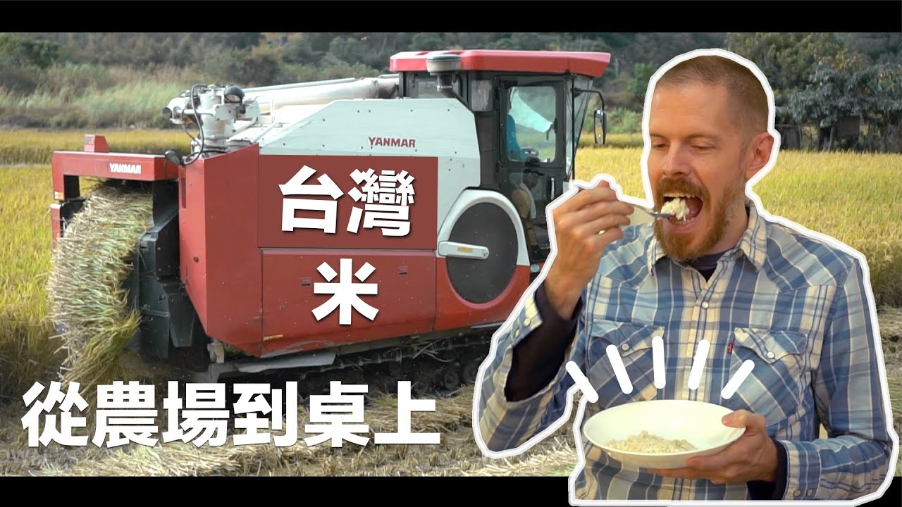 台灣米 : 看台灣農夫怎麼收割，非常療癒 (Amazing Taiwan Rice Harvesting)