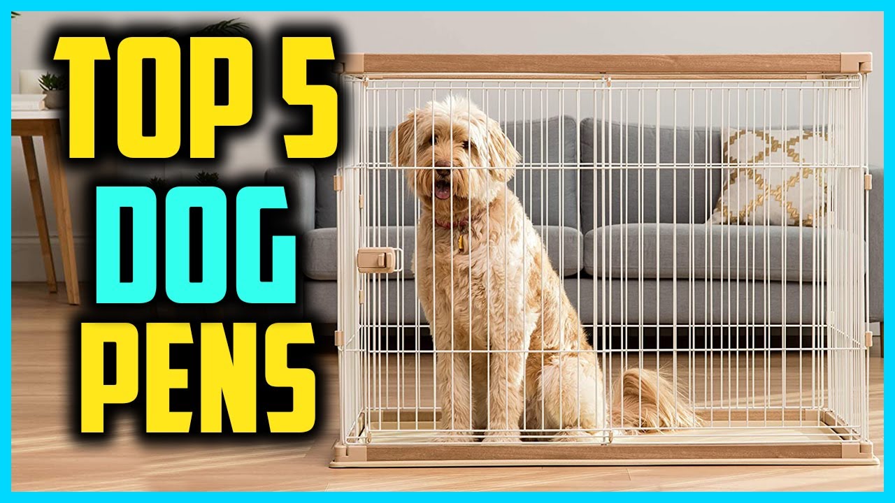 ✅Top 5 Best Dog Pens of 2024