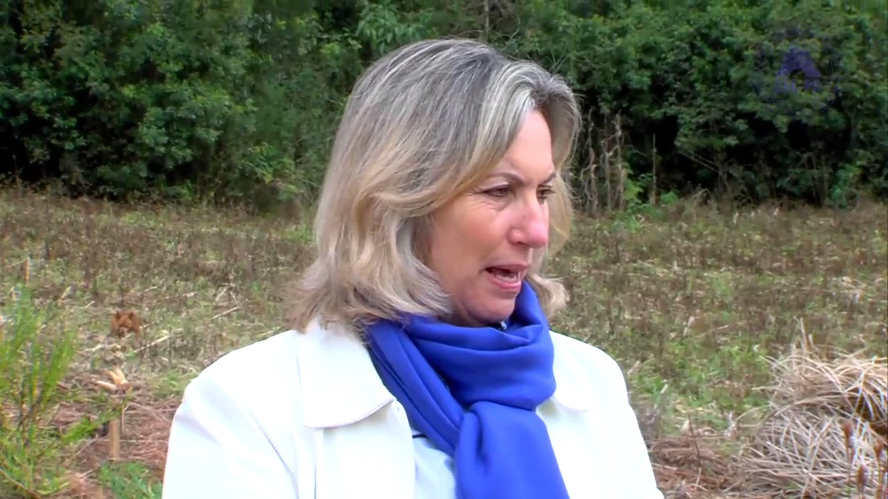 Extensionista Rural - V&iacute;deo 1