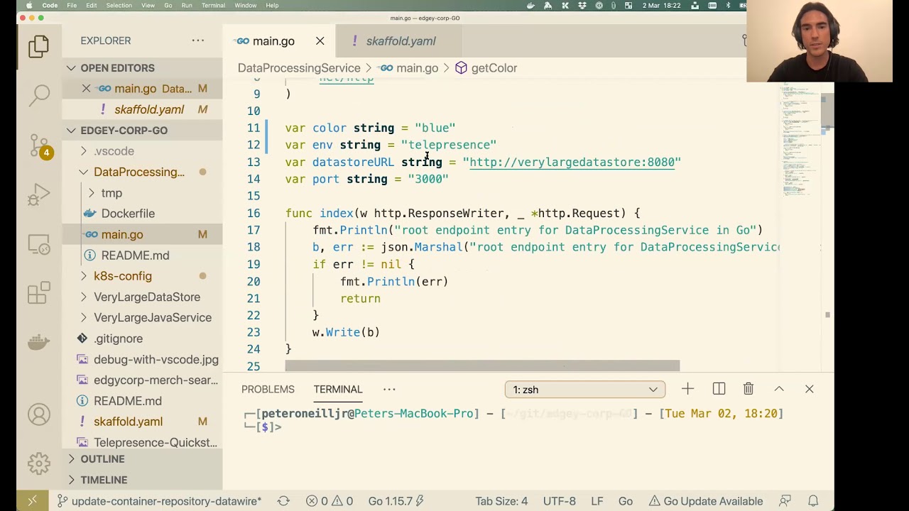 Debugging Go Microservices with Skaffold and Telepresence  - Peter ONeill - Baltimore Go (3-2-2021)