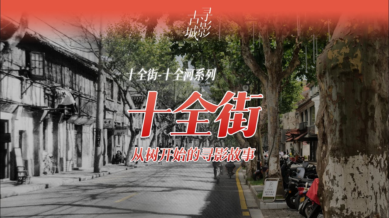 【寻影苏州】十全街：从树开始的寻影故事