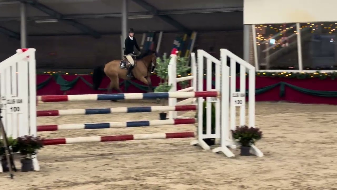 Richy, 2021 gelding by Million Dollar X Chin Chin,  110 class 