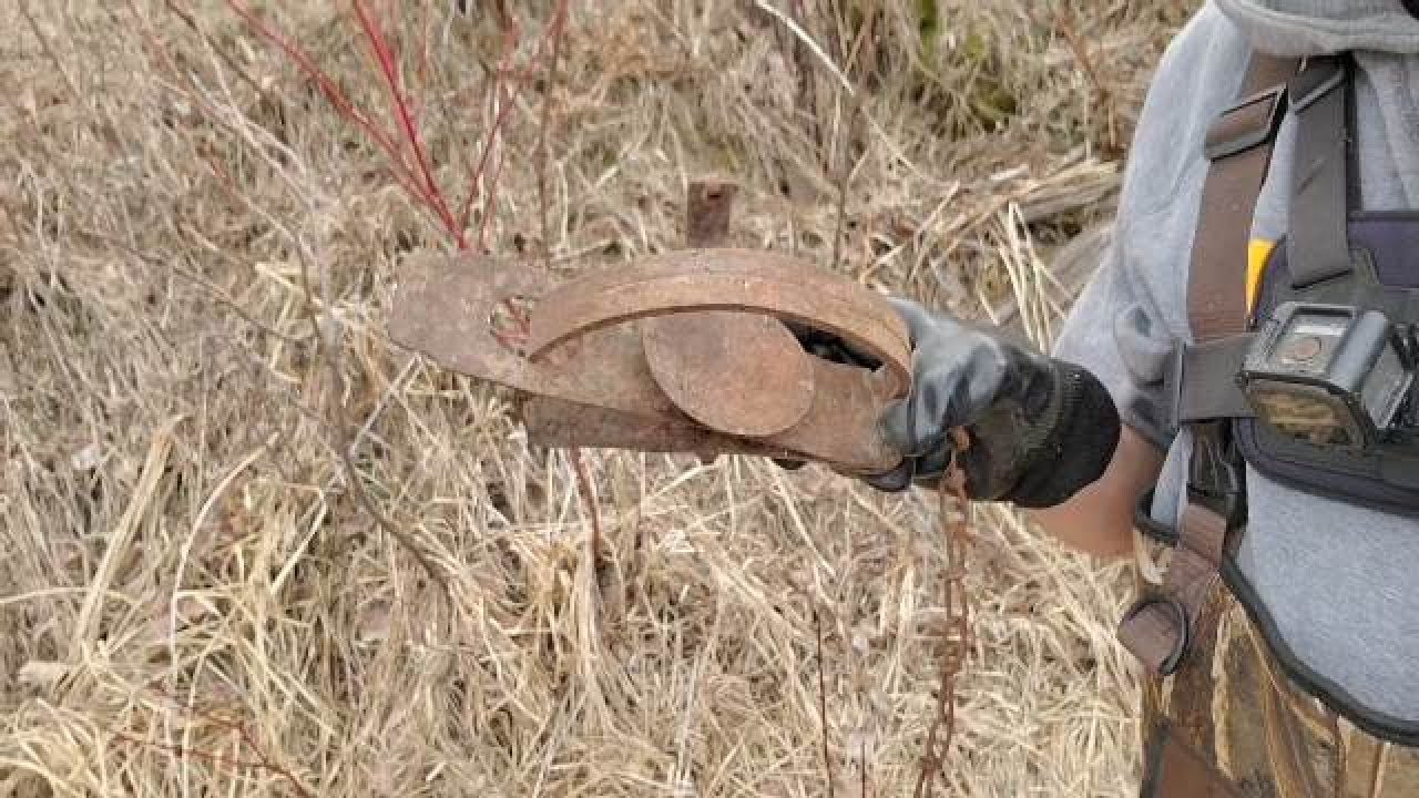 Spring Beaver Trapping Part 9 