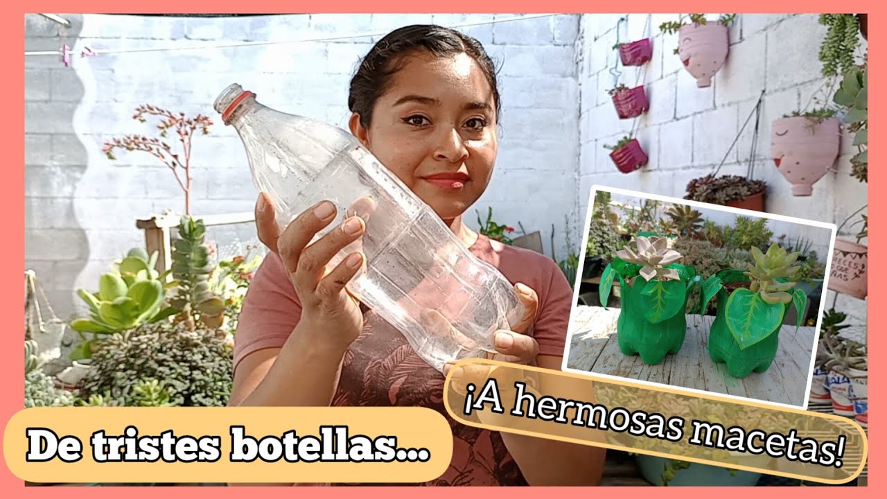 Macetas con Botellas de Refresco, en forma de plantitas🌱