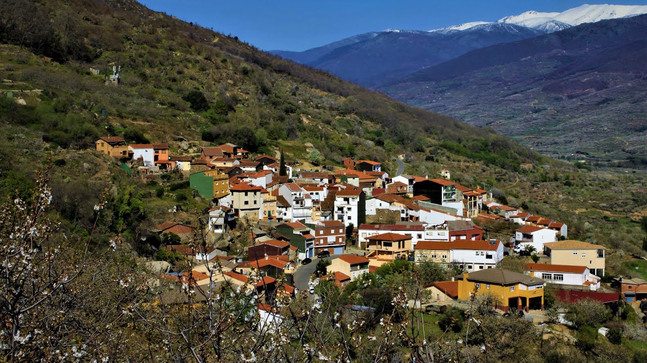 Rebollar 