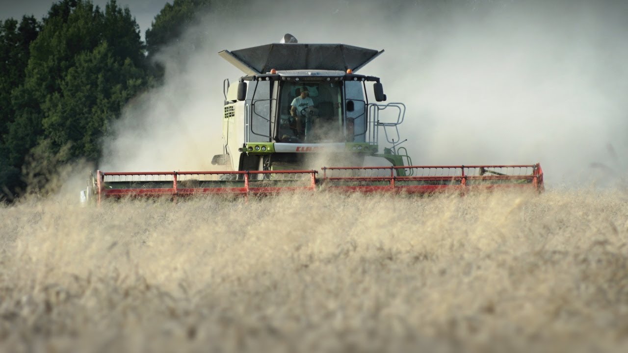 S KOMBAJNEM DO SVĚTA 2 / ŽNĚ 2020 / @CLAAS LEXION 770TT / sestřih / HARVEST 2020 / CZECH REPUBLIC