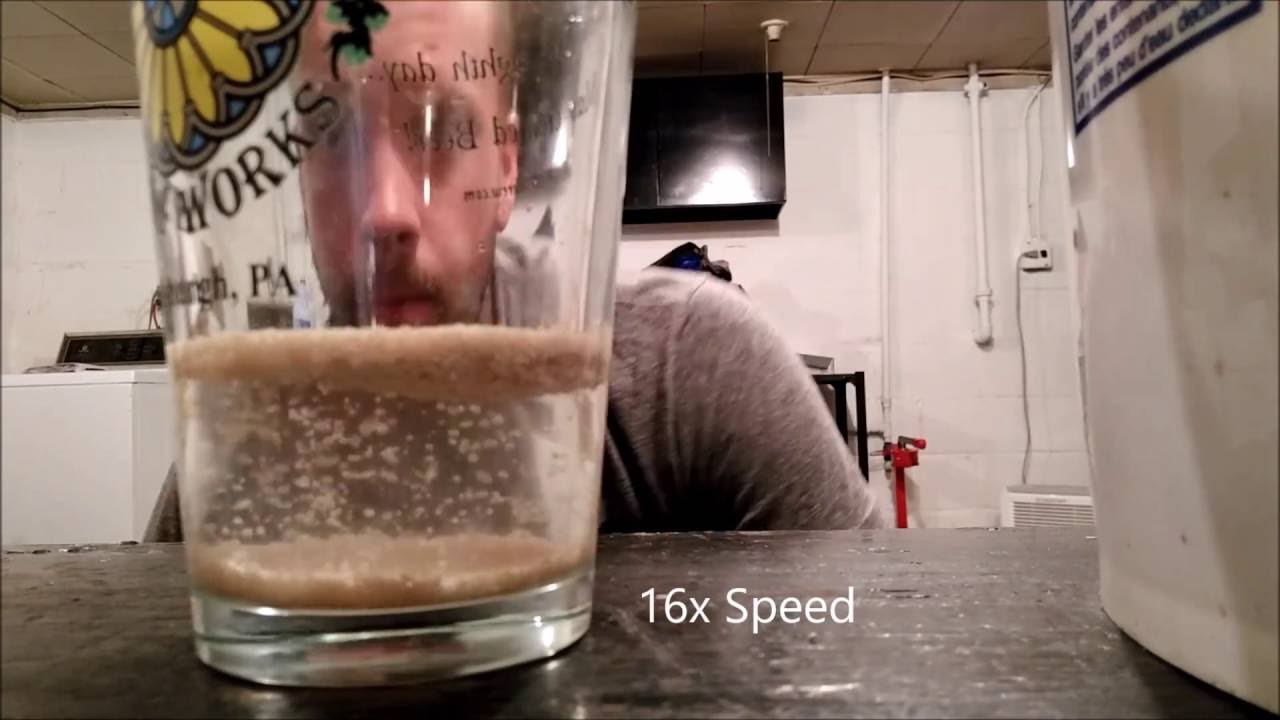 Time Lapse - Wine Yeast Starter