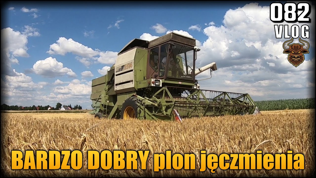 W tym roku jęczmień się udał! Bardzo dobry plon odmiany KWS Kosmos. Żniwa 2022 odc.3 | Vlog #82
