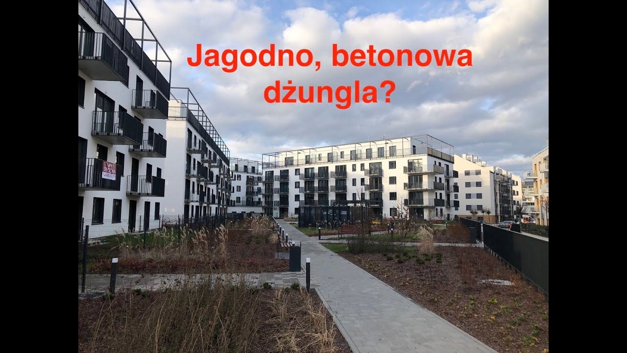 Jagodno, betonowa dżungla?