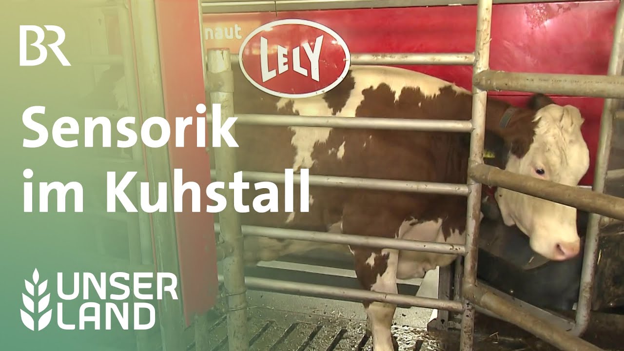 Projekt DigiMilch: Sensorik im Stall | Unser Land | BR Fernsehen