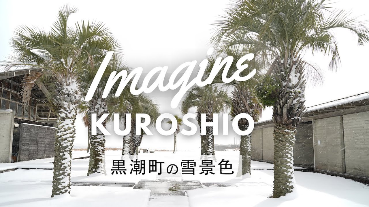 Imagine Kuroshio 黒潮町の雪景色 2024月1月  Winter snow scene from Kochi Japan