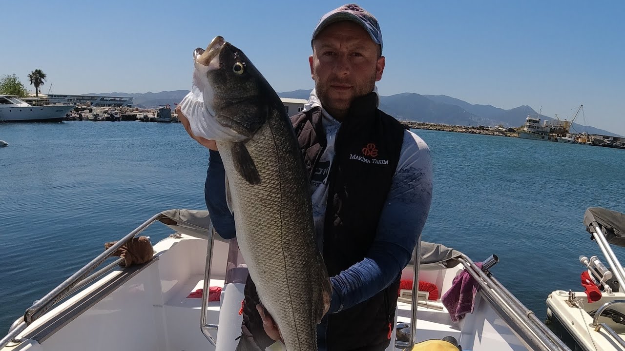 ÇAPARİ İLE TROFE LEVREK !!! İZMİR KÖRFEZİ BALIK AVIMIZ #fishing #seabass #levrek #çipura #balıkavı