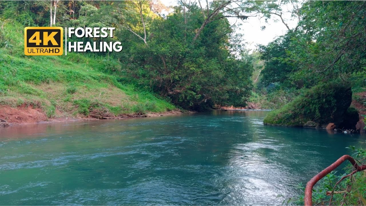 Top Scientist Shares AMAZING Results of CALMING River Sounds on Sleep
