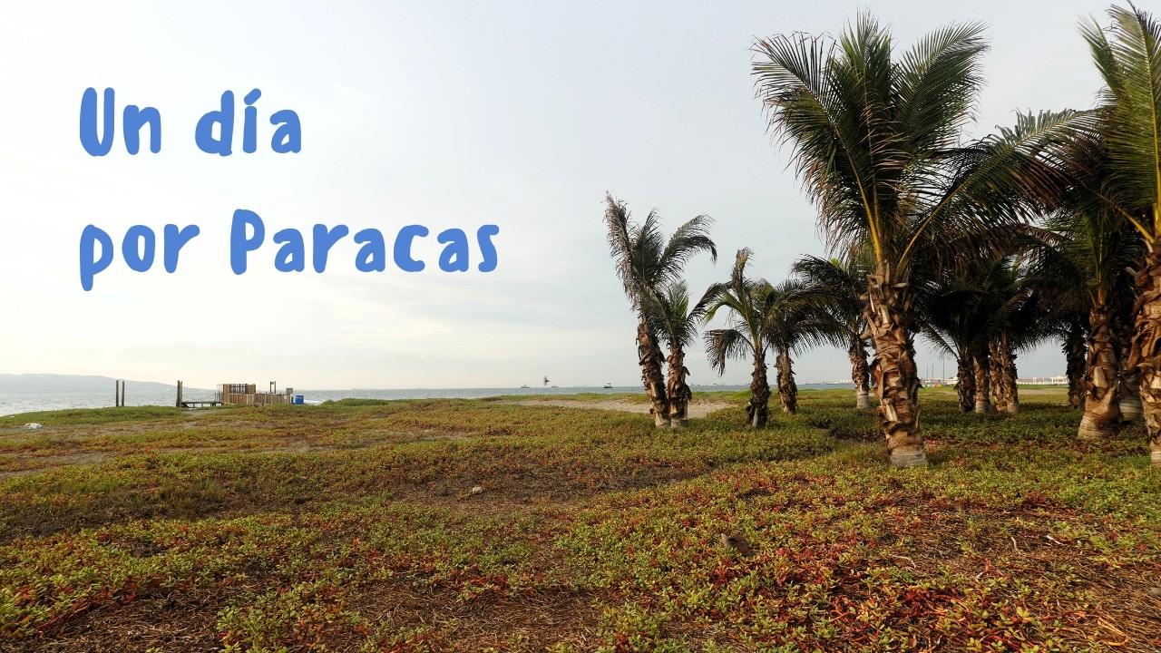 Por Paracas