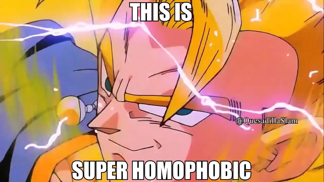 Vegito becomes Super Homophobic (reupload)