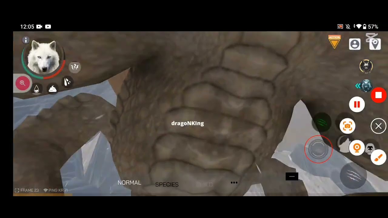 All Tranforms vs Yeti