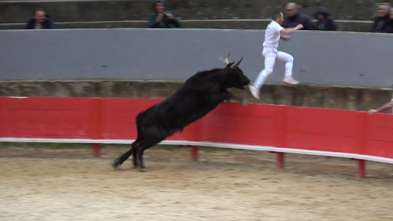 vallabregues  course a l'avenir le 29 03 2025