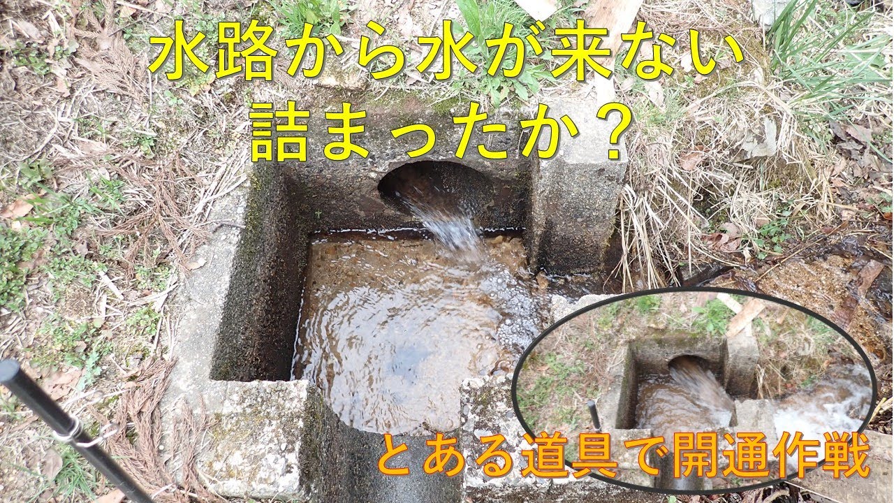 第３７９回　水路が詰まった！！開通作戦実行！