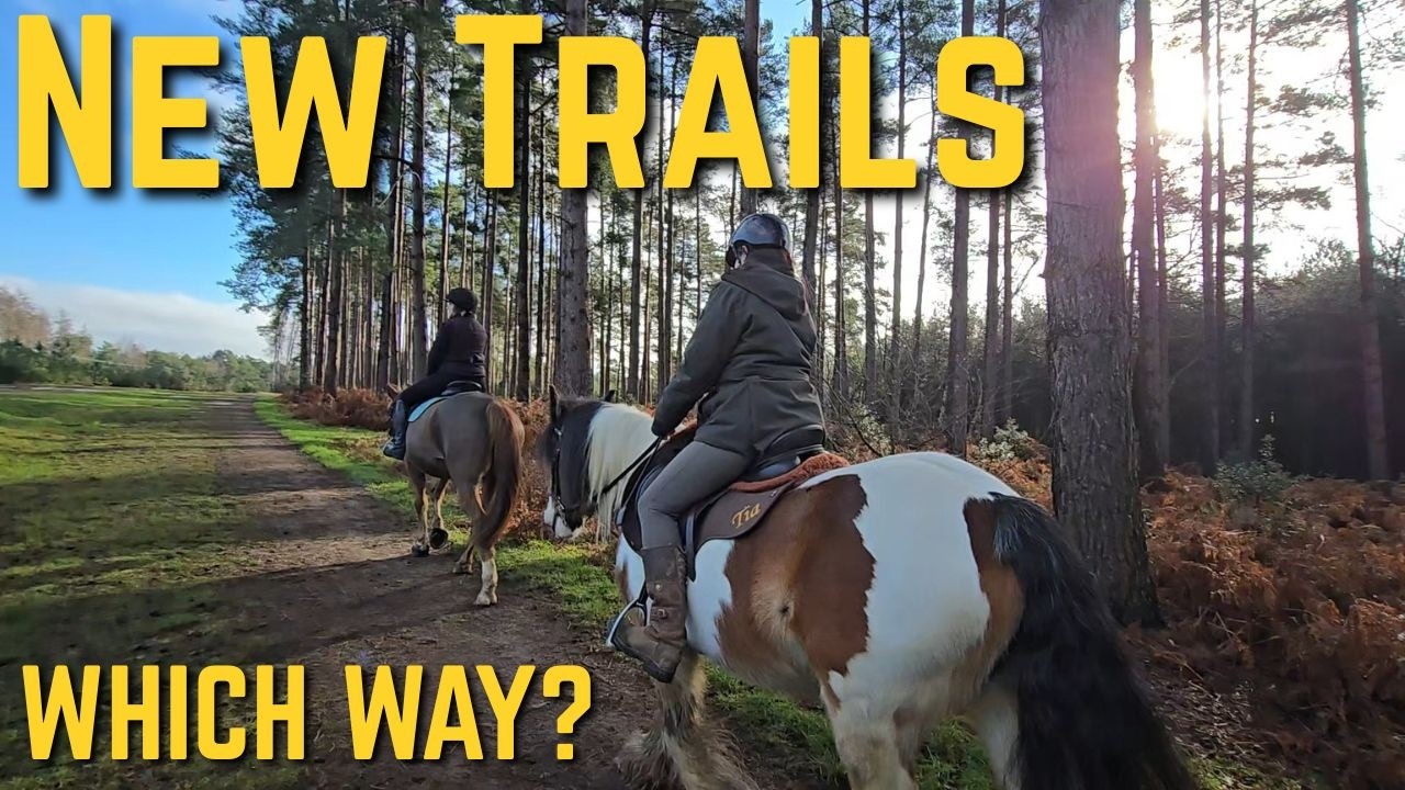 A Beautiful Ride Through Woburn Sands Forest