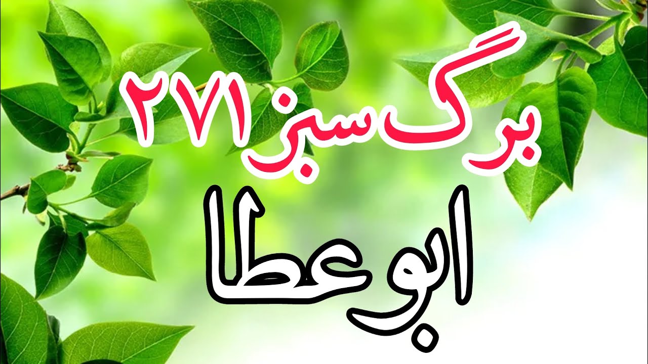 برگ سبز شماره 271