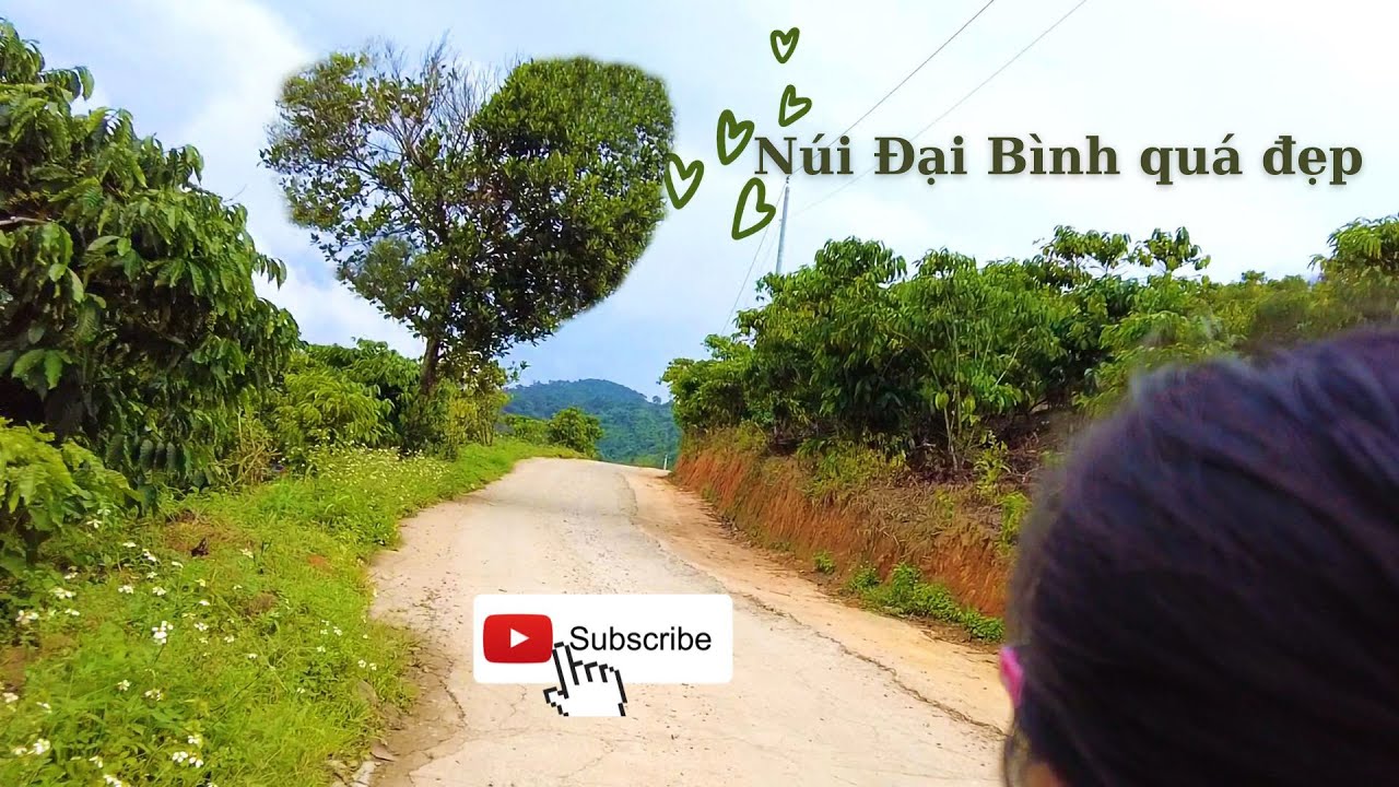 Khám phá núi Đại Bình, Bảo Lộc Lâm Đồng mới nhất.