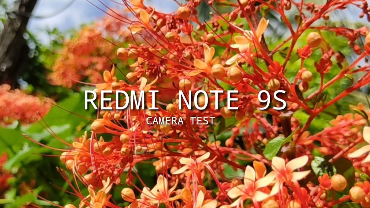 Redmi Note 9S Camera Test