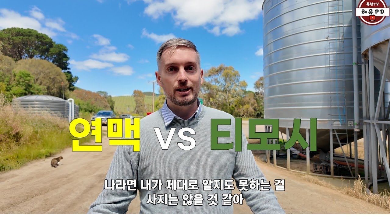 연맥이 좋을까 티모시가 좋을까