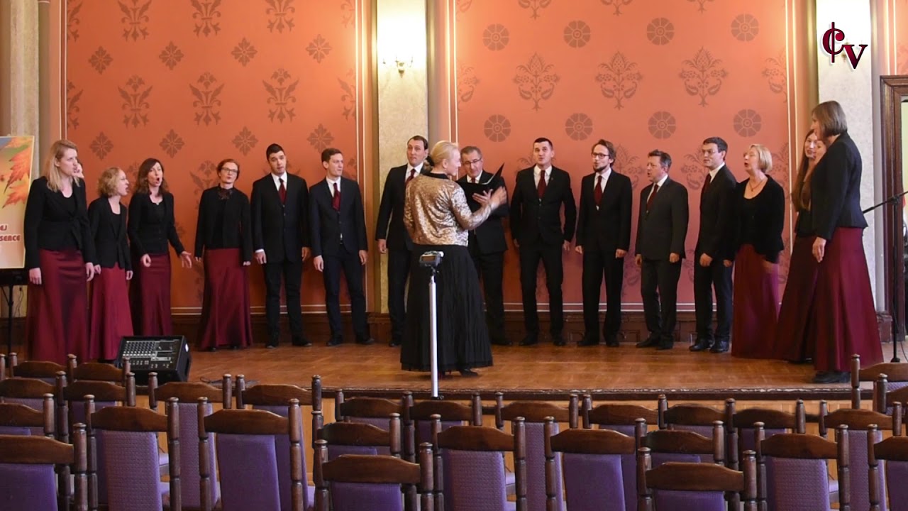 Ach jak przyjemnie - Henryk Wars - Camerata Varsovia