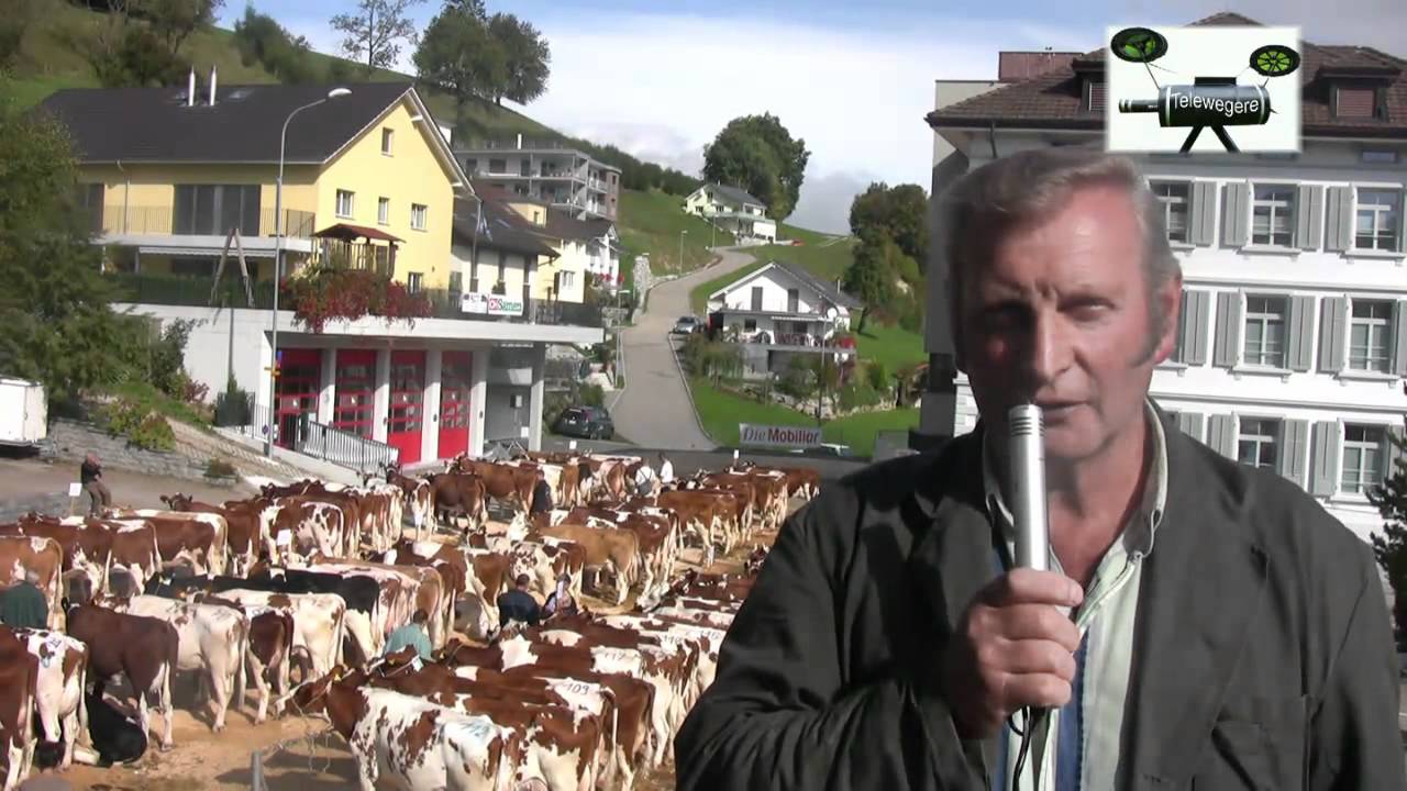 Genossenschaftsschau Hergiswil am Napf 2011
