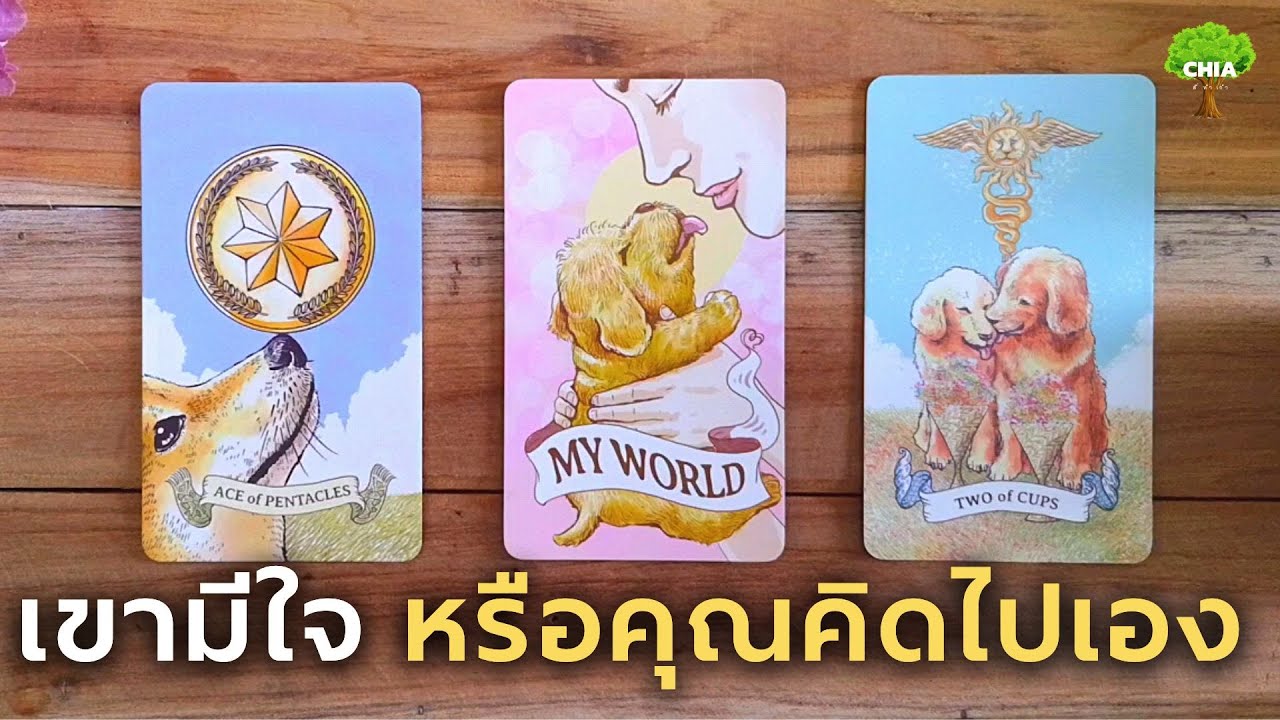 Pick a card เขามีใจหรือคุณคิดไปเอง​ พร้อมความรู้สึก​เขาต่อคุณ​ 🌼​🧸
