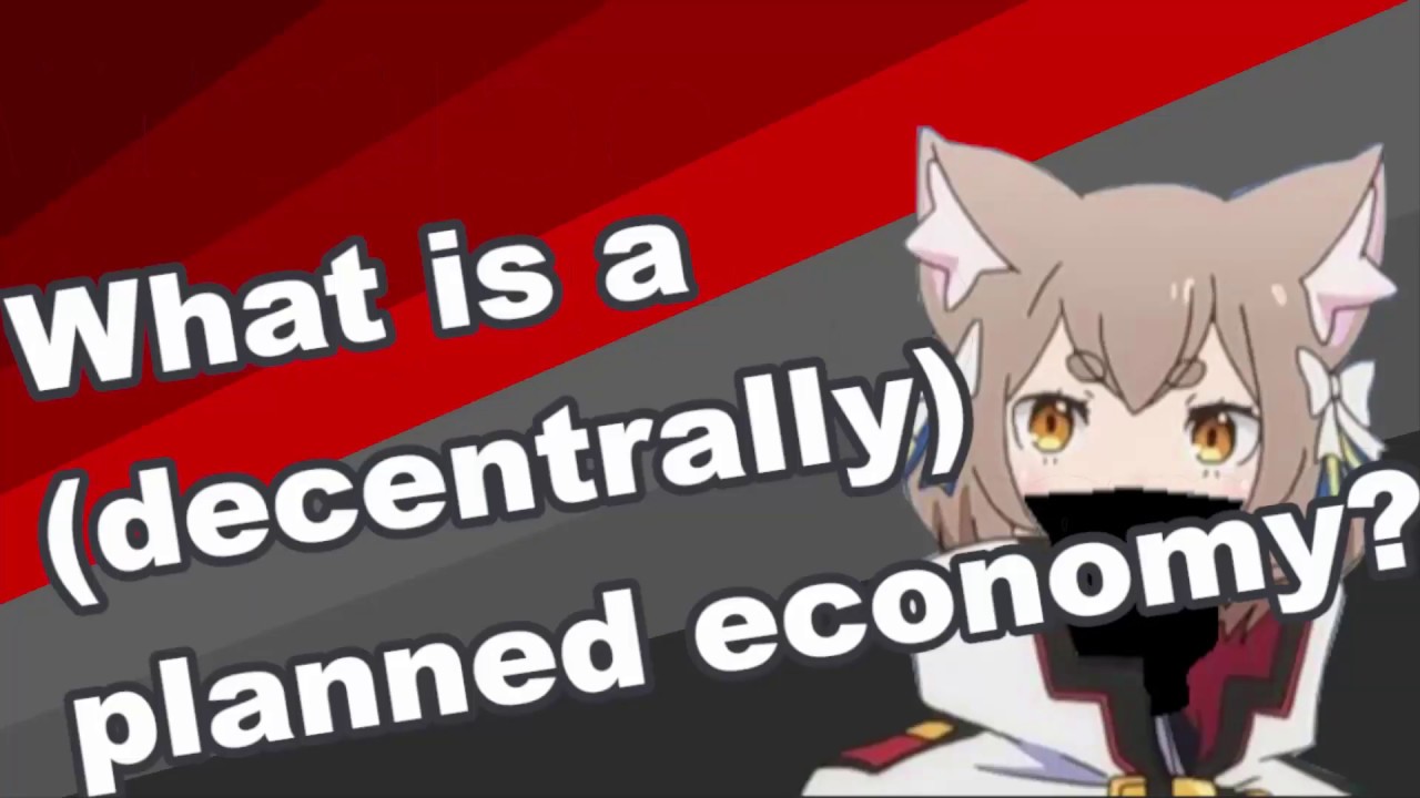 What is a (de-central) planned economy? | Ideology explained