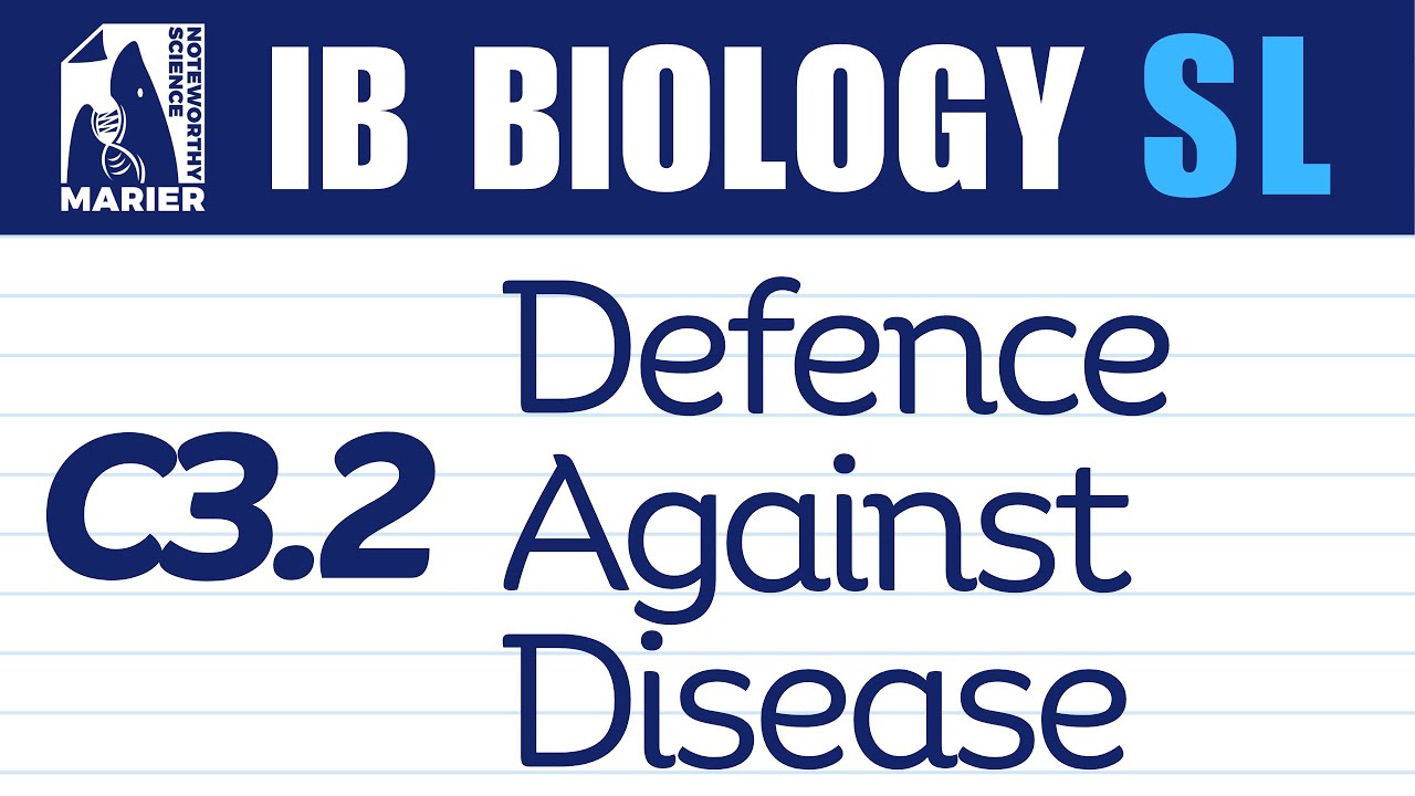 C3.2 Defence Against Disease &ndash; Interactive Lesson | IB Biology SL/HL
