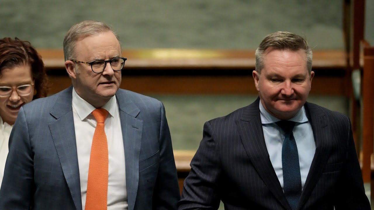 Albanese government unable to give &lsquo;simple' solution to reduce power prices