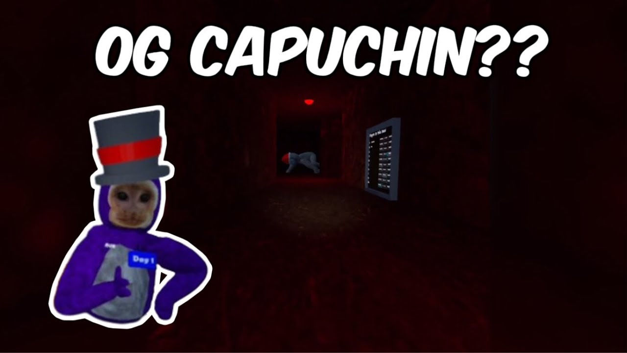 OG CAPUCHIN IS BACK!! (NAPUCHIN)
