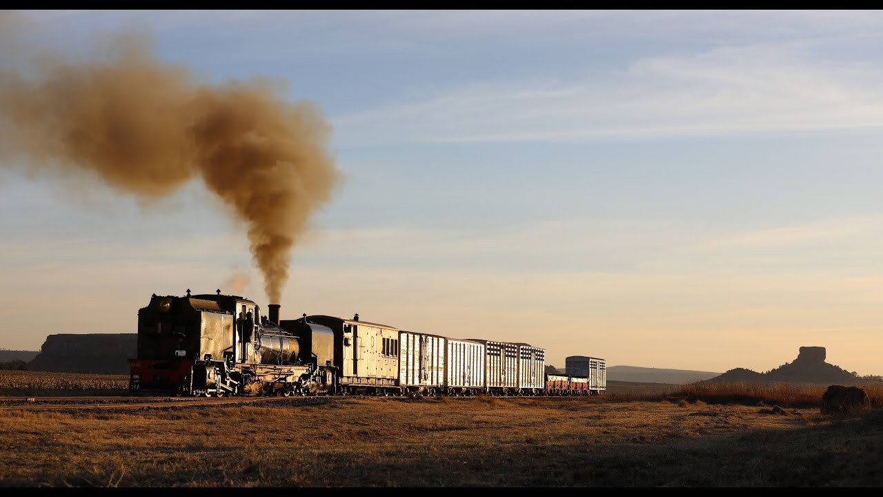 BIG (LITTLE) STEAM IN SOUTH AFRICA 2024 - SANDSTONE ESTATE - 23rd July 2024 - Afternoon Action