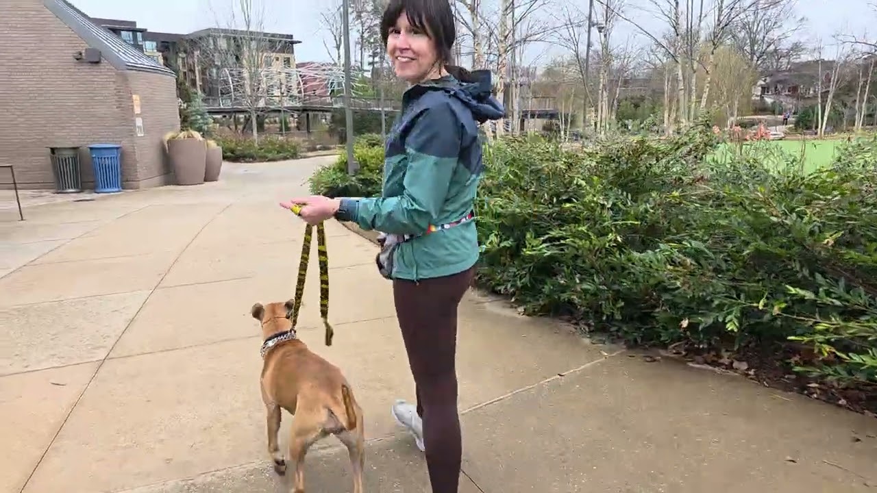 Junie B at Downtown Cary Park