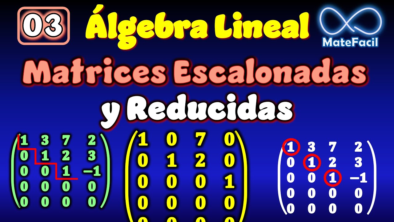 03. Álgebra lineal - Matrices Escalonadas y Reducidas, Características y Ejemplos