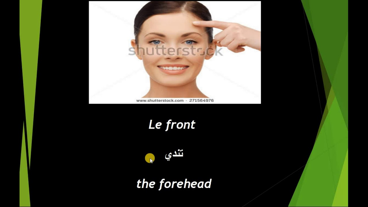 french parts of the body ( part 1)  with pashto...